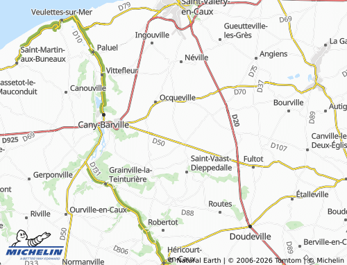 Mapa MICHELIN Flamanvillette - ViaMichelin