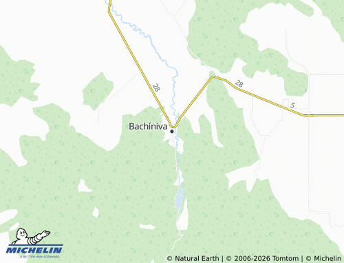Mappa MICHELIN Bachíniva - ViaMichelin