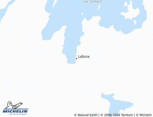 Carte MICHELIN Laforce - ViaMichelin