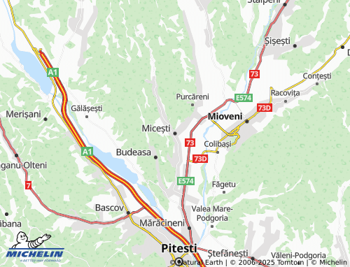 MICHELIN Micești map - ViaMichelin