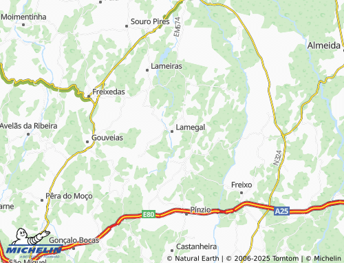 MICHELIN Lamegal map - ViaMichelin