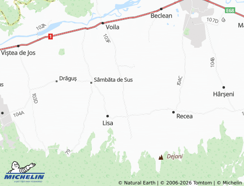 Mapa MICHELIN Pojorta - ViaMichelin