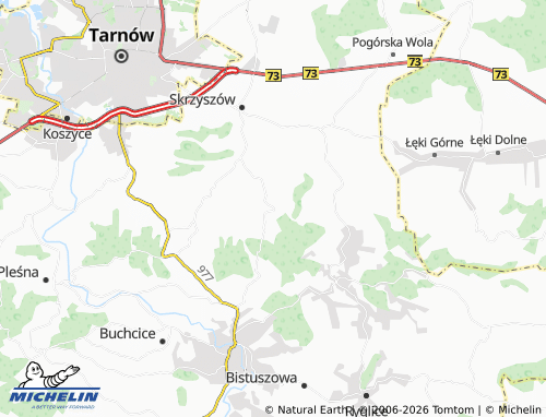 MICHELIN Trzemesna map - ViaMichelin