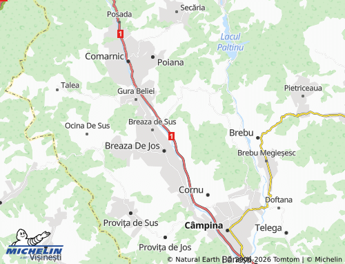 Carte MICHELIN Frăsinet - ViaMichelin