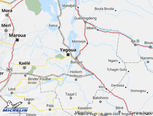 Carte MICHELIN Mayo-Kebbi Est - ViaMichelin