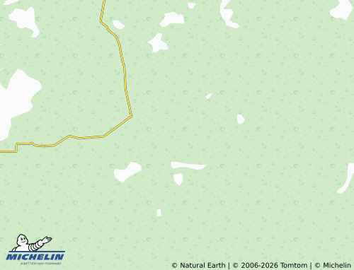 Mappa MICHELIN Nuevo Canutillo, San Manuel - ViaMichelin