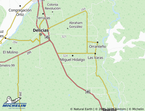 MICHELIN Miguel Hidalgo map - ViaMichelin