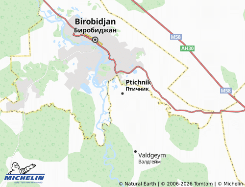 MICHELIN-Landkarte Ptichnik - ViaMichelin