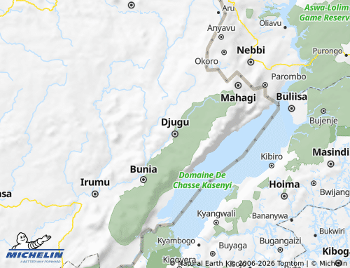 Mapa MICHELIN Djungu - ViaMichelin