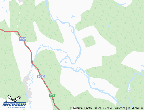 MICHELIN-Landkarte Ust'-Irgino - ViaMichelin