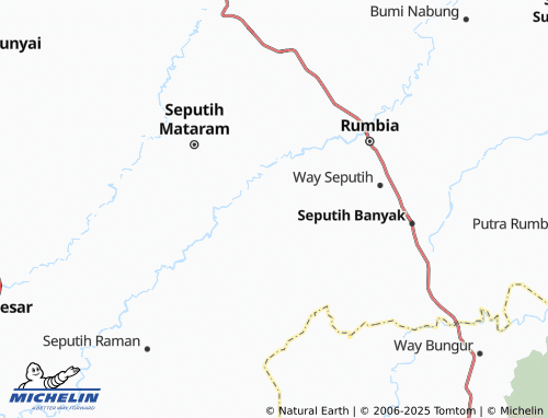 MICHELIN Sri Bawono map - ViaMichelin