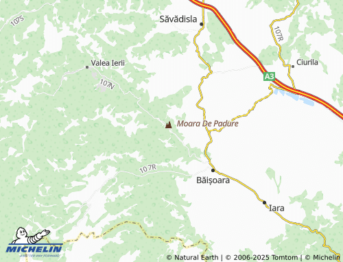 MICHELIN Moara De Pădure map - ViaMichelin