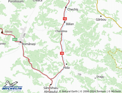 MICHELIN Racâș map - ViaMichelin