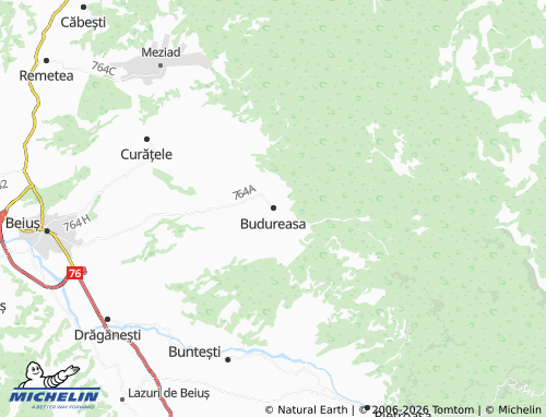 Kaart MICHELIN Budureasa - ViaMichelin