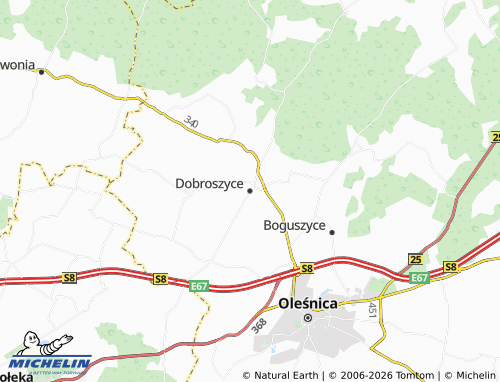 MICHELIN Dobroszyce map - ViaMichelin