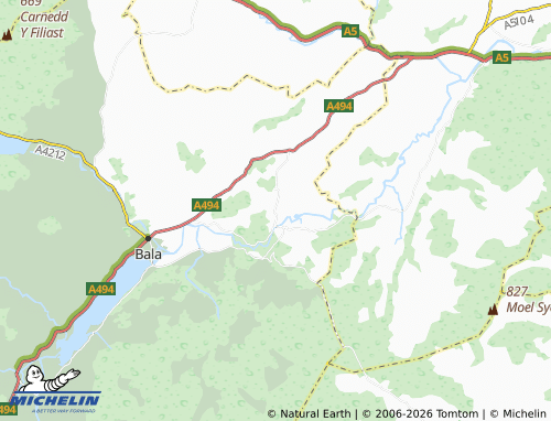 Mappa MICHELIN Llandderfel - ViaMichelin