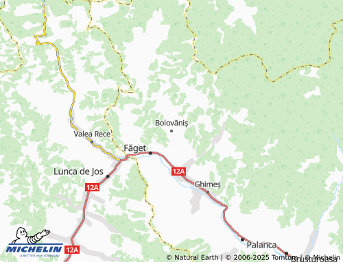MICHELIN-Landkarte Bolovăniș - ViaMichelin
