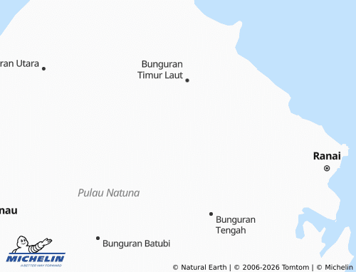 Mapa MICHELIN Selemam - ViaMichelin