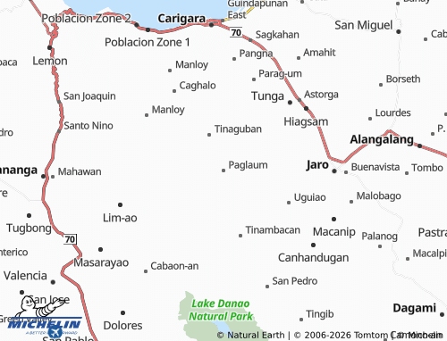 MICHELIN Paglaum map - ViaMichelin