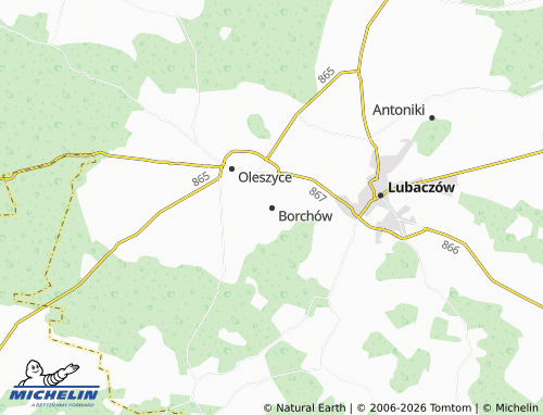 Carte MICHELIN Borchów - ViaMichelin
