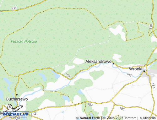 MICHELIN Chojno-Błota Wielkie map - ViaMichelin