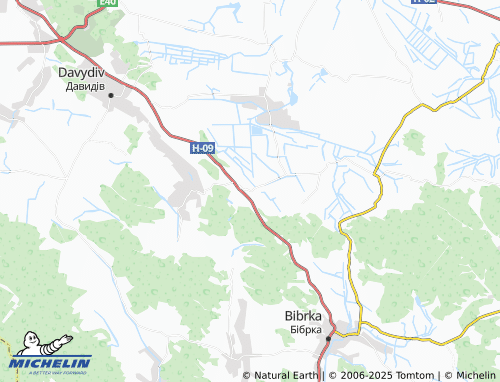 MICHELIN Vidnyky map - ViaMichelin