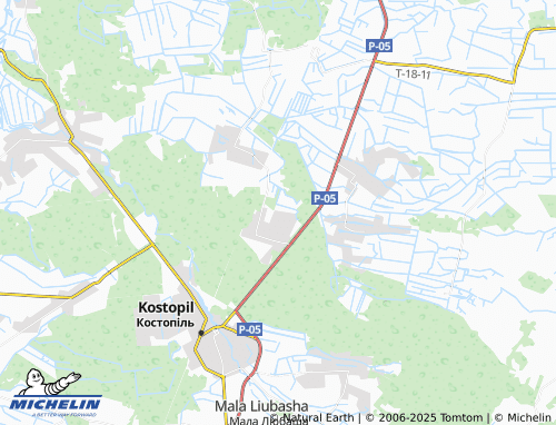 MICHELIN Rokytne map - ViaMichelin