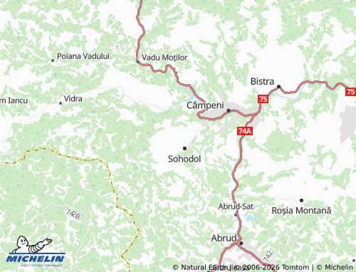 MICHELIN Năpăiești map - ViaMichelin