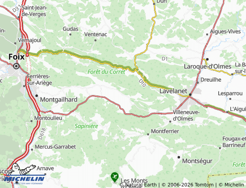 Mappa MICHELIN Roquefixade - ViaMichelin