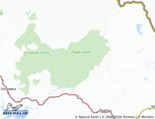 Mapa MICHELIN Puketi Forest - ViaMichelin