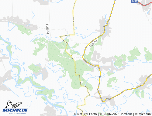 MICHELIN Chornohortsi map - ViaMichelin