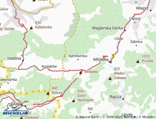 MICHELIN Kamesznica map - ViaMichelin