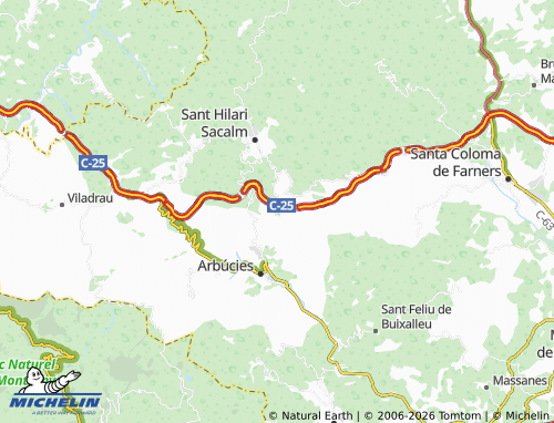 Carte MICHELIN Joanet - ViaMichelin