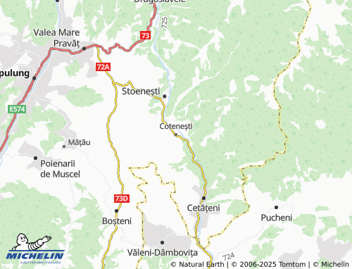 MICHELIN Cotenești map - ViaMichelin