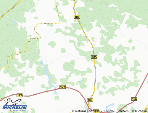 MICHELIN Dainava map - ViaMichelin