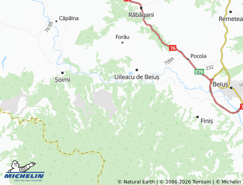 Carte MICHELIN Borz - ViaMichelin