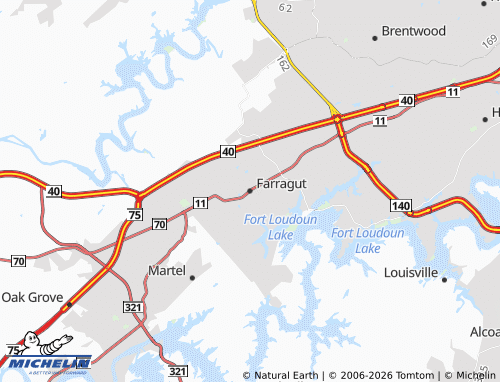 Mappa MICHELIN Farragut - ViaMichelin
