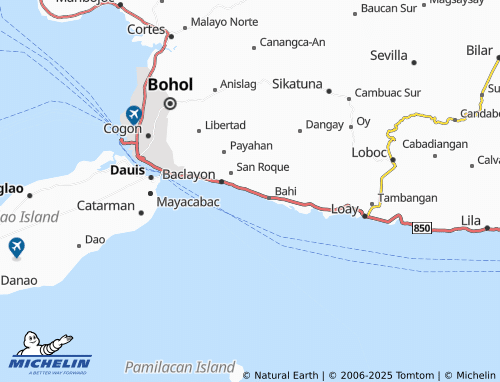 MICHELIN Laya map - ViaMichelin