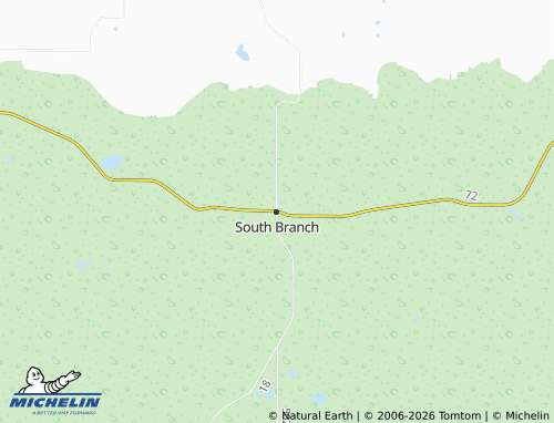 Mappa MICHELIN South Branch - ViaMichelin