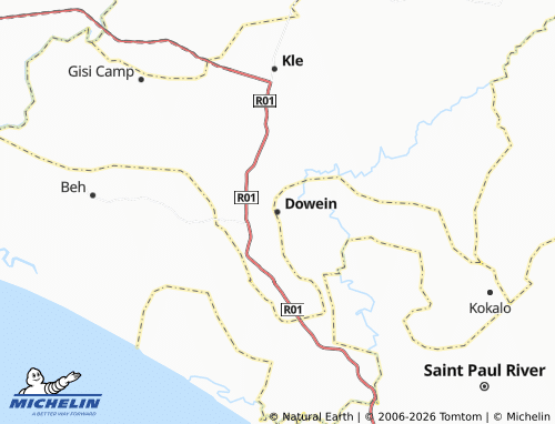 Mappa MICHELIN Dowein - ViaMichelin