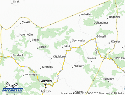 MICHELIN Salur map - ViaMichelin