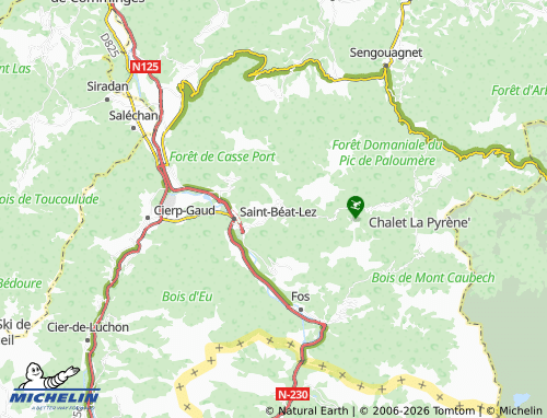 Mappa MICHELIN Boutx - ViaMichelin