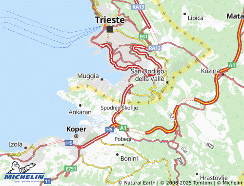 Mappa MICHELIN Farnei - ViaMichelin