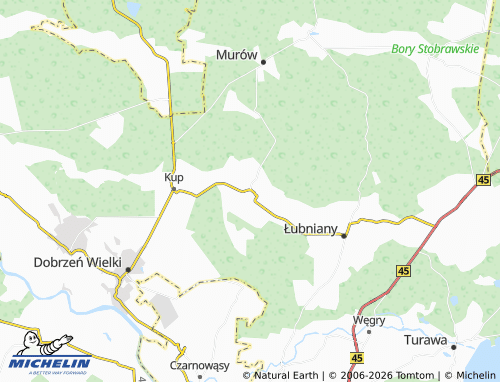 Carte MICHELIN Brynica - ViaMichelin