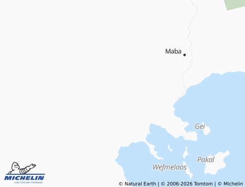 MICHELIN Wayafli map - ViaMichelin