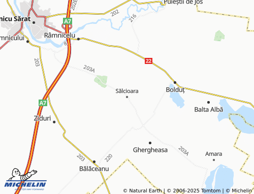 MICHELIN Sălcioara map - ViaMichelin