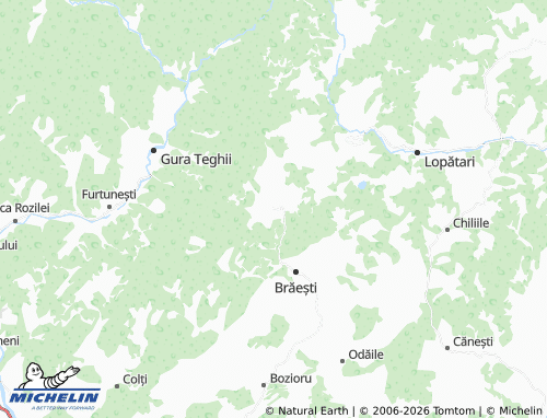 Carte MICHELIN Ivănețu - ViaMichelin