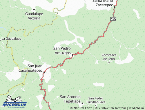 Mapa MICHELIN San Pedro Amuzgos - ViaMichelin