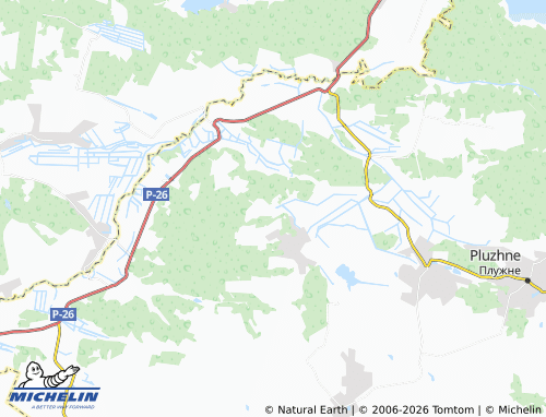 MICHELIN Zakrynychne map - ViaMichelin