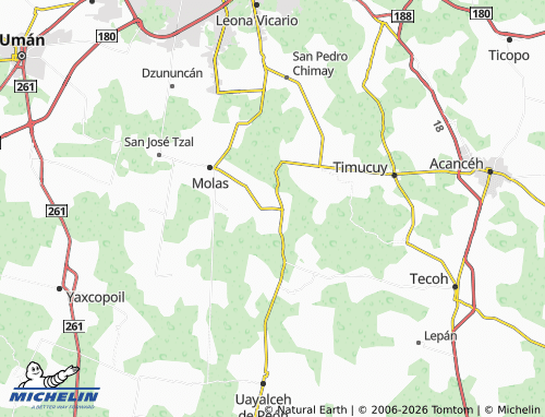 Mapa MICHELIN Dzoyaxche - ViaMichelin